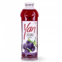 Կոմպոտ «Yan» 930մլ Մոշ