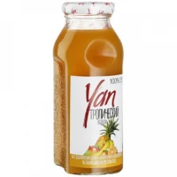 Բնական հյութ «Yan» 0.25լ Մուլտիֆրուտ