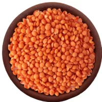 Կարմիր ոսպ
