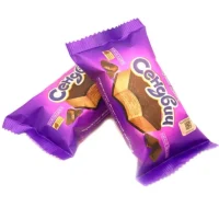 Պաղպաղակ «Grand Candy» 57գր Սենդվիչ շոկոլադե