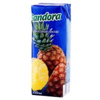 Հյութ «Sandora» 0.25լ անանասի