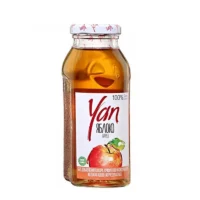 Բնական հյութ «Yan» 0.25լ  խնձոր