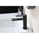 07111-C Ծորակ լվացարանի համար (CHROME) GANZER (10/1հատ) - Image 9