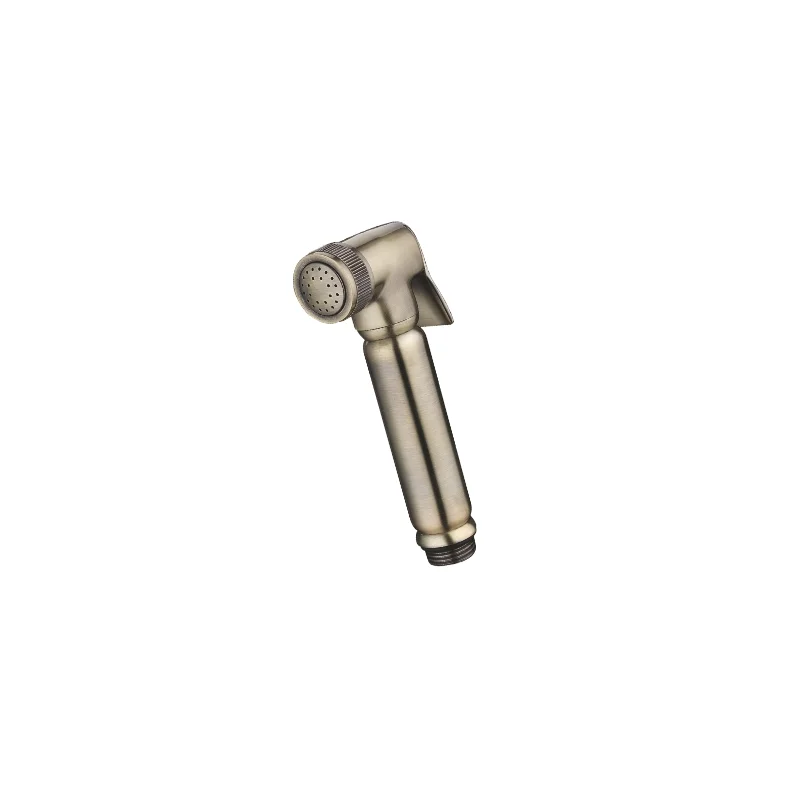 2011-D Հիգենիկ ցնցուղի գլխիկ (BRONZE) GANZER (50/1հատ)